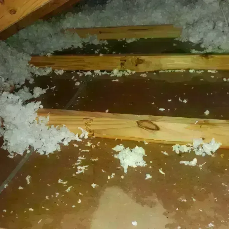 Attic Water Damage in Rising Sun-Lebanon, DE