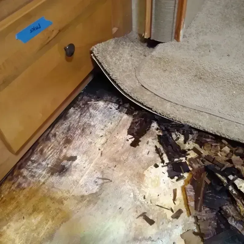 Wood Floor Water Damage in Rising Sun-Lebanon, DE